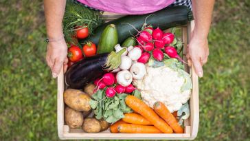 should-you-eat-fresh,-organic-produce-year-round?