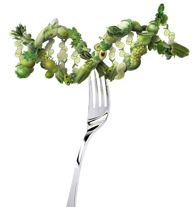 eating-for-your-genes