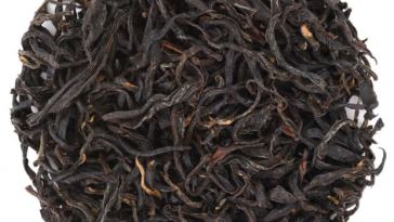 top-7-antiviral-foods