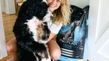 how-to-choose-the-right-food-for-your-dog