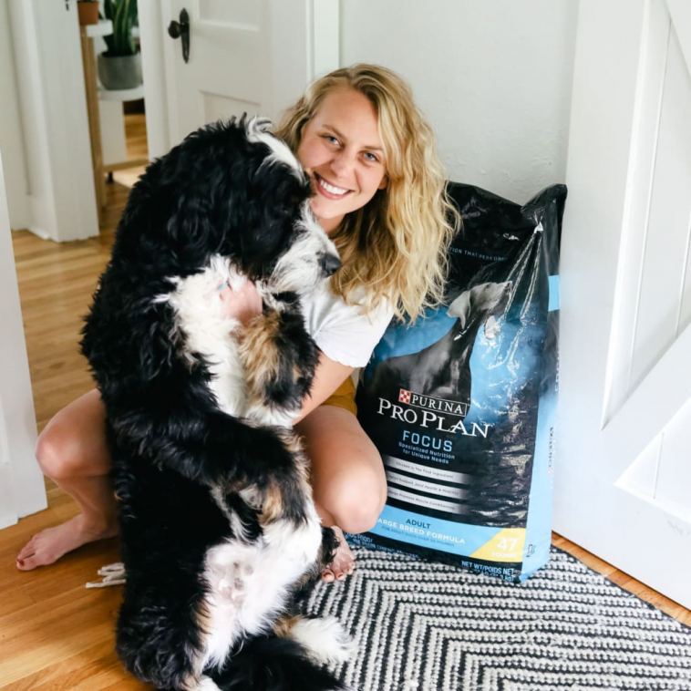 how-to-choose-the-right-food-for-your-dog