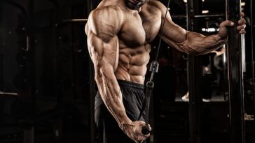 5-simple-ways-to-grow-your-triceps-faster