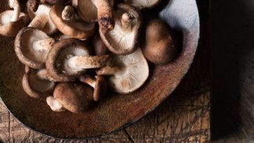 beta-glucans:-what-you-need-to-know