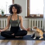 âwholisticâ-care-for-your-pets