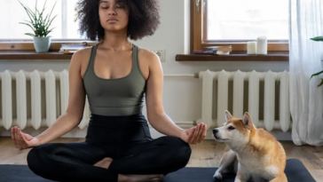 âwholisticâ-care-for-your-pets