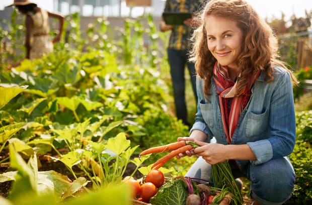 reduce-glyphosate-with-an-organic-diet