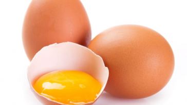 8-foods-high-in-amino-acids