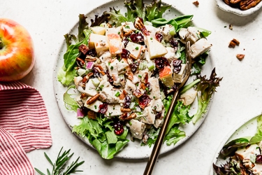 cranberry-chicken-salad-with-apples