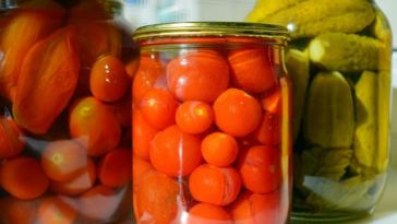 fall-into-growing-food-in-your-home