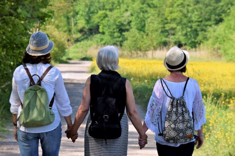 understanding menopause