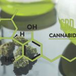 cbd cannabidiol