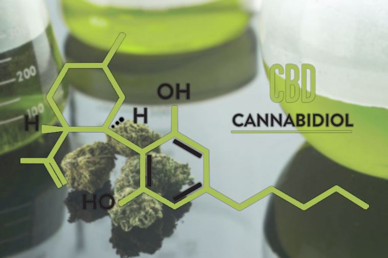 cbd cannabidiol