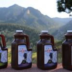 sherpa chai tea review