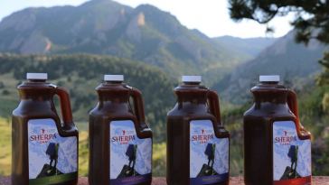 sherpa chai tea review