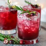 sparkling-cranberry-kombucha-mocktail
