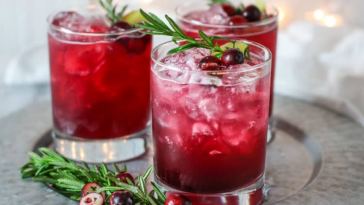 sparkling-cranberry-kombucha-mocktail