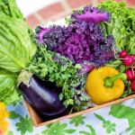 organic vegetables