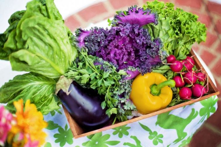organic vegetables