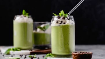 mint-chocolate-chip-milkshake-(shamrock-shake-recipe)