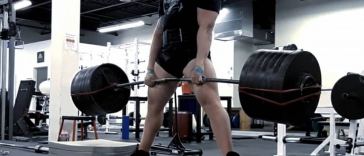 understanding-metabolic-damage-and-adaptation