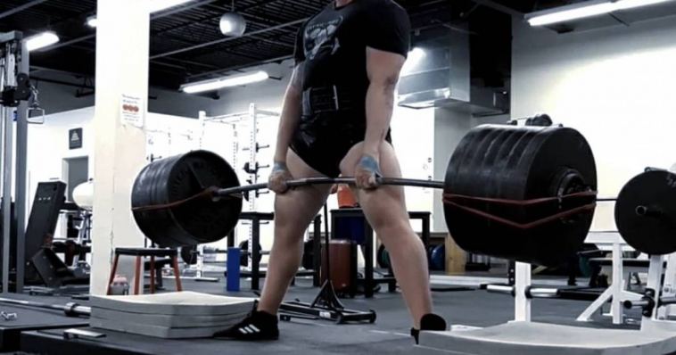 understanding-metabolic-damage-and-adaptation