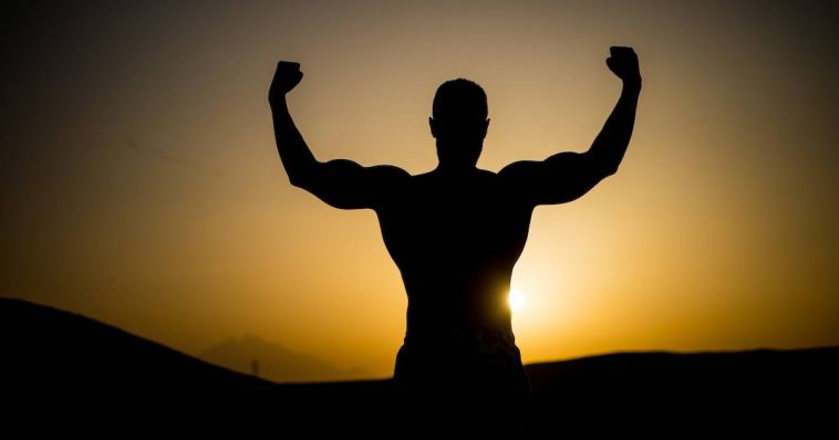 the-yin-and-yang-in-strength-training-to-optimize-balance