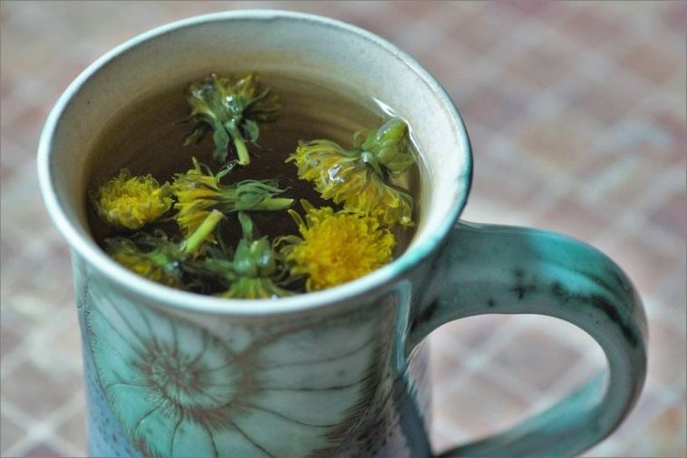 dandelion tea tonic
