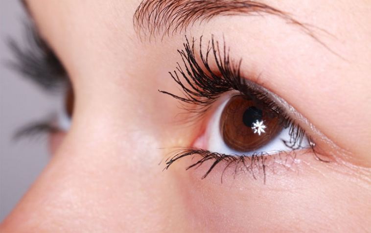 eye