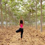 staying healthy when moving house
