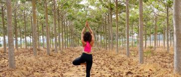 staying healthy when moving house