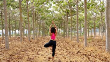 staying healthy when moving house