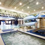 john cardillo aquatics centre