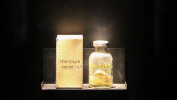 penicillin