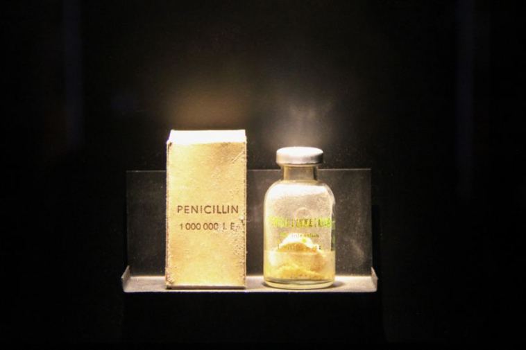 penicillin