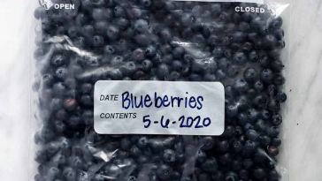how-to-freeze-blueberries