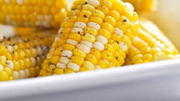 instant-pot-corn-on-the-cob