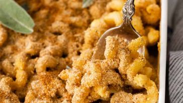 butternut-squash-mac-and-cheese