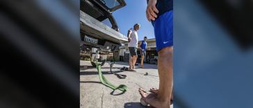 want-raw,-brute-strength?-these-5-power-building-exercises-will-help