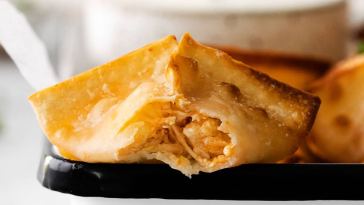 air-fryer-buffalo-chicken-wontons