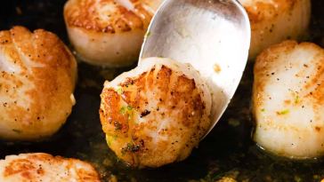 pan-seared-scallops