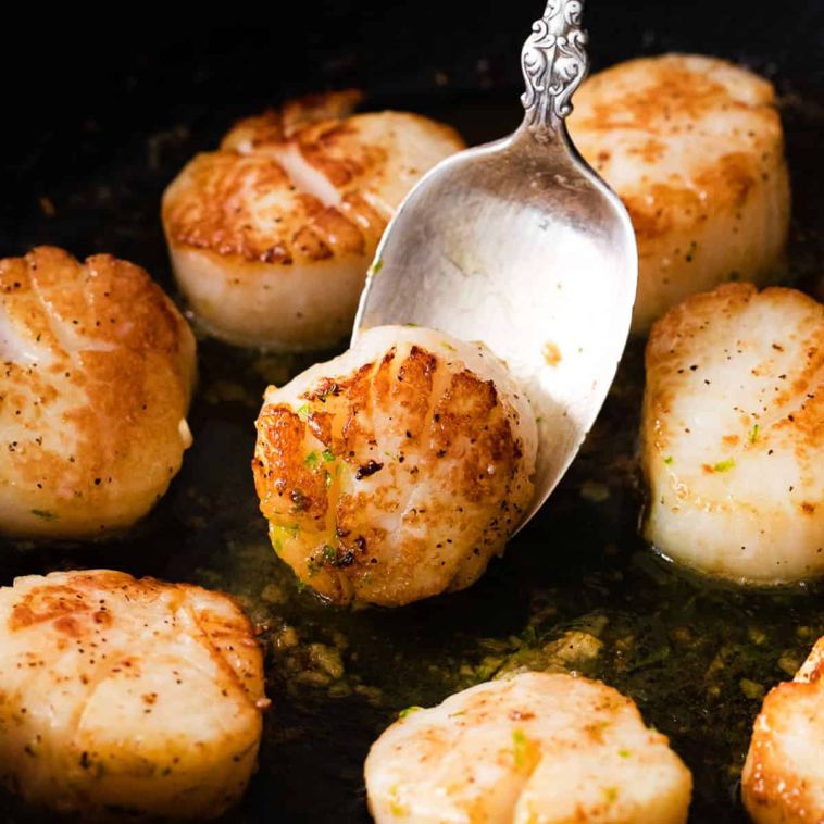 pan-seared-scallops