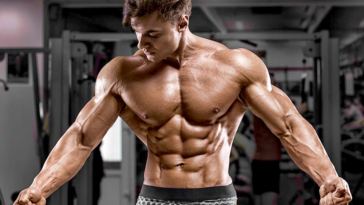 an-updated-guide-on-training-truths-and-muscle-myths