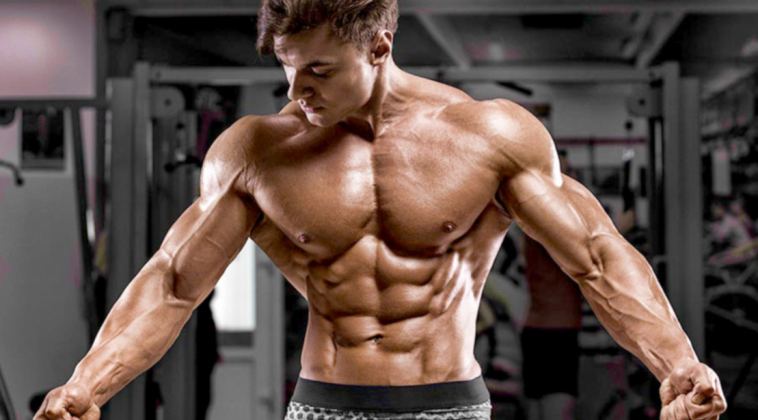 an-updated-guide-on-training-truths-and-muscle-myths