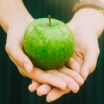 nutrition and addiction recovery