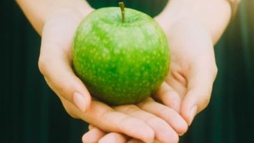 nutrition and addiction recovery