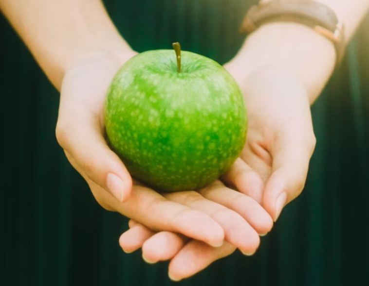 nutrition and addiction recovery