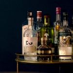 gin-up-new-and-exciting-ways-to-enjoy-this-spirit,-according-to-one-cocktail-expert