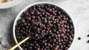 wild-blueberries:-5-reasons-to-eat-them-for-health