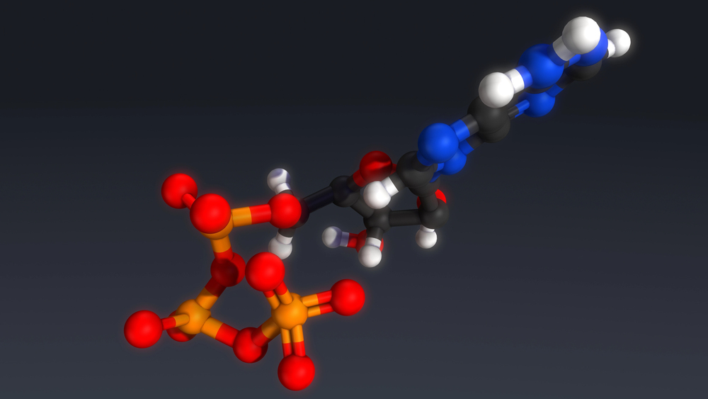 3D ball-and-stick model of ATP molecule showing red oxygen, orange phosphorus, black carbon, blue nitrogen, and white hydroge